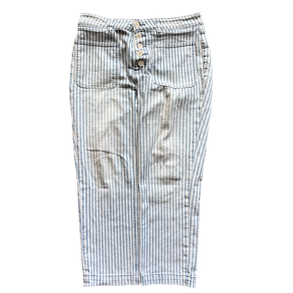 Anthropologie Pilero Pinstripe Striped Pants Size 30 Petite